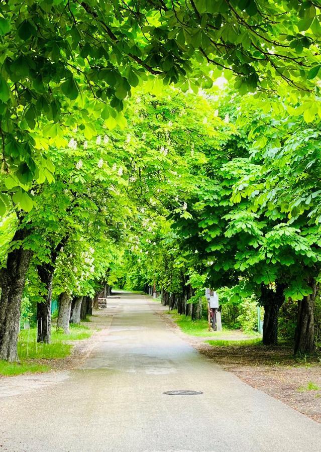 Aranygesztenye Apartmanhaz Balatonudvari Dış mekan fotoğraf